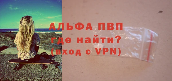 амф Новозыбков