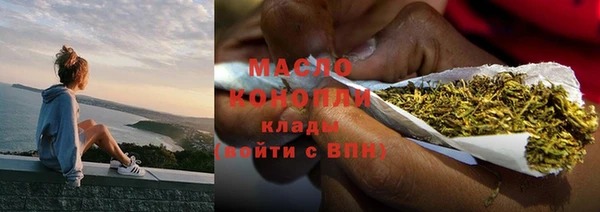амф Новозыбков